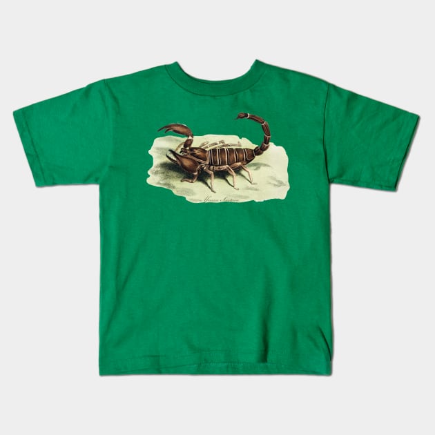 The African Scorpion Kids T-Shirt by PDTees